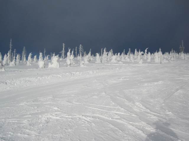 Spinleruv Mlyn Februari 2010